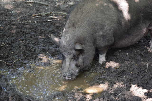 KY体育官方网站